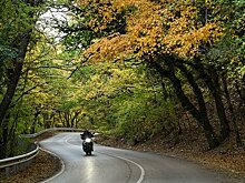 Москвичам запретили ездить на одном виде транспорта