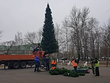 Праздничную ель украсят в поселении Кленовское