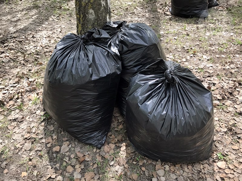 В Пензенской области стартовал месячник по благоустройству