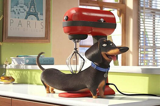 На примере любимых героев: Все, что нужно знать о поведении во время пандемии