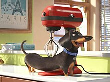 На примере любимых героев: Все, что нужно знать о поведении во время пандемии