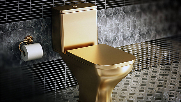 СМИ: друзья Зеленского покупают золотые унитазы на деньги ЕС