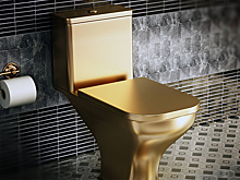 СМИ: друзья Зеленского покупают золотые унитазы на деньги ЕС