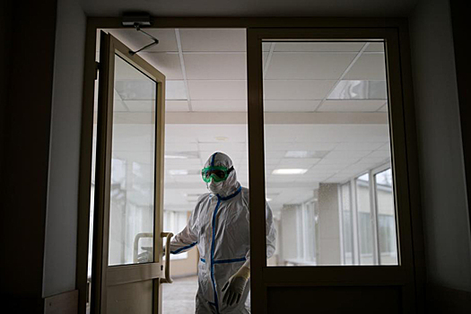 Онищенко допустил вероятность завоза холеры в Россию