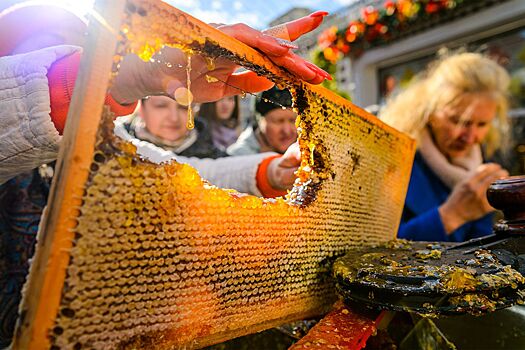 Вяленые ягоды, рыбные деликатесы, медовые композиции: какая продукция представлена на площадках фестиваля «Золотая осень»