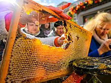 Вяленые ягоды, рыбные деликатесы, медовые композиции: какая продукция представлена на площадках фестиваля «Золотая осень»