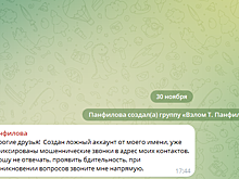 Глава гордумы Татьяна Панфилова сообщила о создании зеркального Telegram-аккаунта