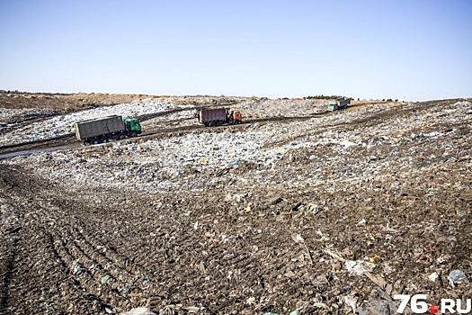 Не рассыпать по пути: власти придумали, как мусоровозы должны возить отходы на полигон «Скоково»