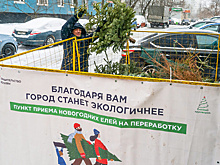 Около 49 тыс. хвойных деревьев сдали москвичи на утилизацию в рамках акции «Елочный круговорот»