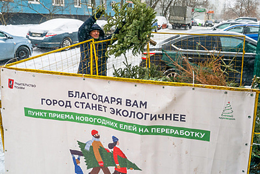 Около 49 тыс. хвойных деревьев сдали москвичи на утилизацию в рамках акции «Елочный круговорот»