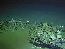 Smithsonian Magazine: у берегов Франции обнаружили затонувший корабль XVI века