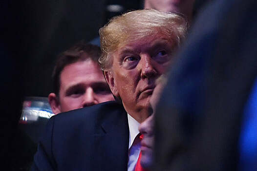 Дональд Трамп посетит UFC 264, где подерутся Конор и Порье