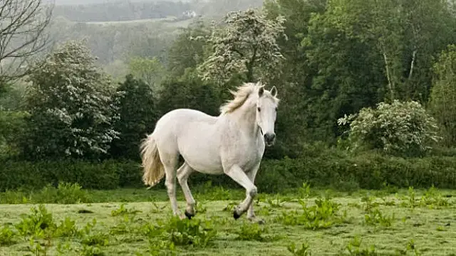 Народные приметы на 24 августа 2024 года: что нельзя делать в этот день
