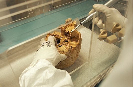 Археологи призвали не прятать древние кости