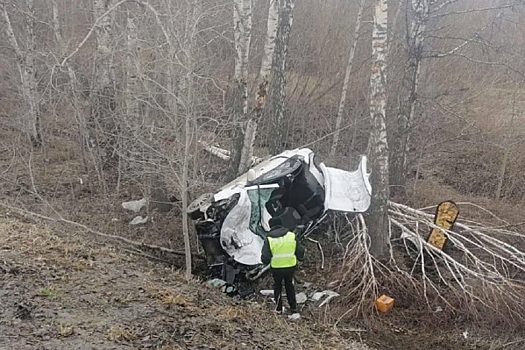 В Екатеринбурге машина влетела в дерево, два человека погибли на месте