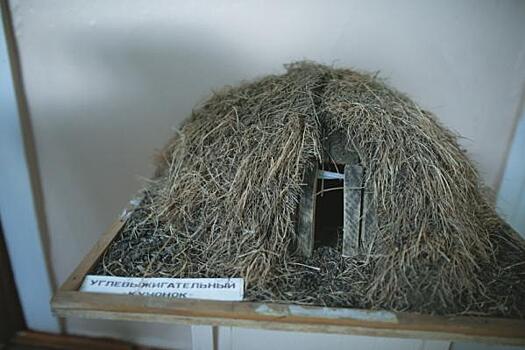 На Ямале раскопают поселение железного века