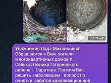 Посёлок Гагаринского района утопает в фекалиях