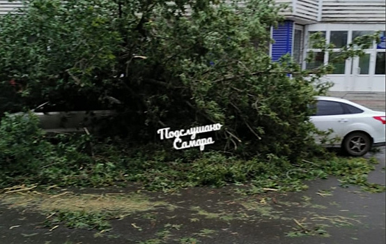 31 дерево и 24 автомобиля: последствия урагана в Самарской области