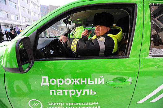 Действие «грузового каркаса» планируют расширить на всю Москву в 2020 г.