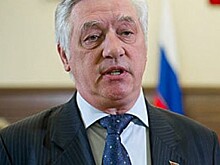 Наблюдатели от Общественной палаты получат официальный статус на выборах мэра
