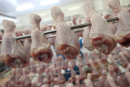 Российские производители снижают цены на мясо курицы