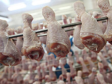 Российские производители снижают цены на мясо курицы
