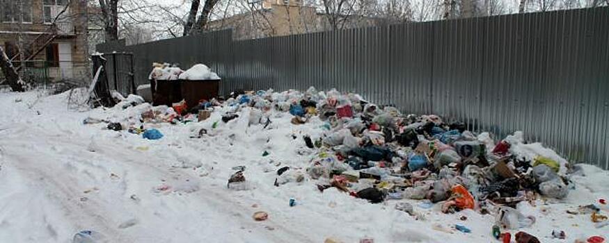 Депутаты НСО раскритиковали работу регоператора по вывозу мусора