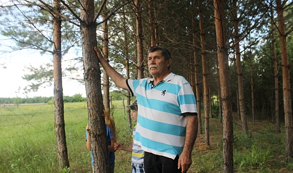 Житель Камышина в память о 120 ликвидаторах аварии на ЧАЭС высадил сосновый бор