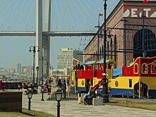 Турецкие инвесторы приглядываются к строительству в городе-спутнике Владивостока