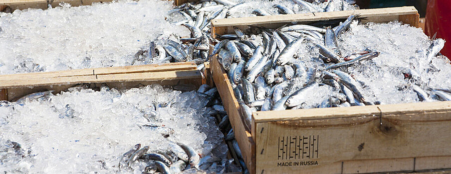 Объем вылова рыбы в России в 2020 году ожидается на уровне 5 млн тонн