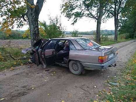Водитель Audi, врезавшегося в дерево под Озёрском, был пьян