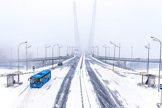 Во Владивостоке во время снежного циклона зафиксирована рекордная скорость ветра