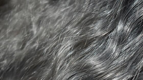 Ученые нашли связь между стрессом и сединой