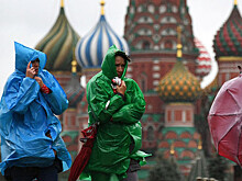 В Москве из-за штормового ветра погиб человек