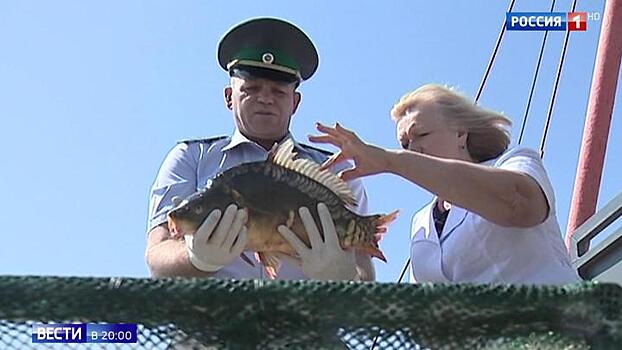 Не больше 5 килограммов: в РФ вводятся ограничения на любительскую рыбалку