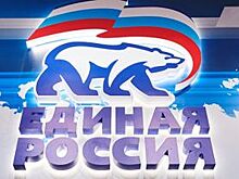 «Единая Россия» взяла на контроль ситуацию с декларациями депутатов