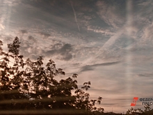 Журналист Голованов: пророчества Апокалипсиса сбываются на наших глазах