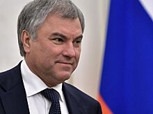 Володин заявил о падении доверия французов к Макрону