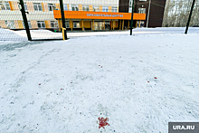 В нападении на учеников школы в Челябинске заподозрили скинхедов