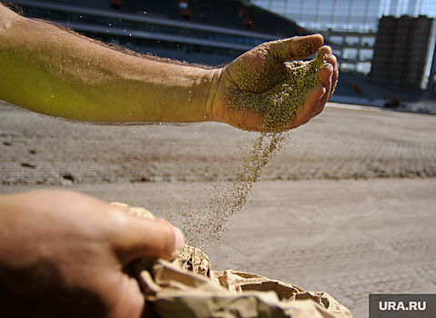 В Челябинске уничтожили посылку, присланную из Германии