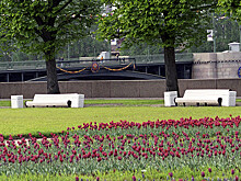 В Петербурге защитили ключевые городские парки от застройки