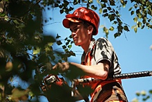 Работы по обрезке деревьев выполнили в Пресненском районе