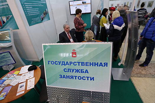 Служба занятости в Подмосковье помогла трудоустроиться 30 тыс. человек