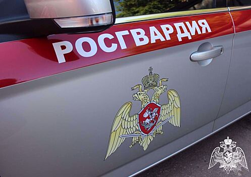 В Рязанской области устроили погоню за пьяным водителем