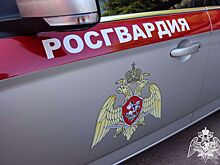 В Рязанской области устроили погоню за пьяным водителем