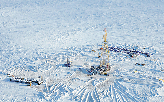 Стала известна доля российской нефти в Арктике