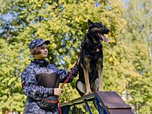 Губернатор Рязанской области Малков рассказал об открытии учебно-кинологического центра