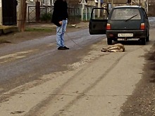 Нерадивый хозяин привязал собаку к бамперу машины и протащил ее по улице в Буденновске