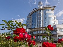 ОЭЗ «Липецк» в третий раз признана лучшей в России