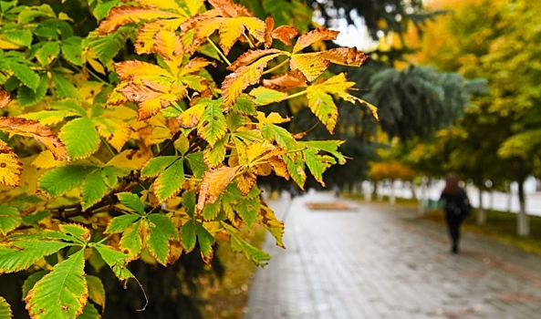 Медики посоветовали, как укрепить иммунитет и избежать инфекций осенью